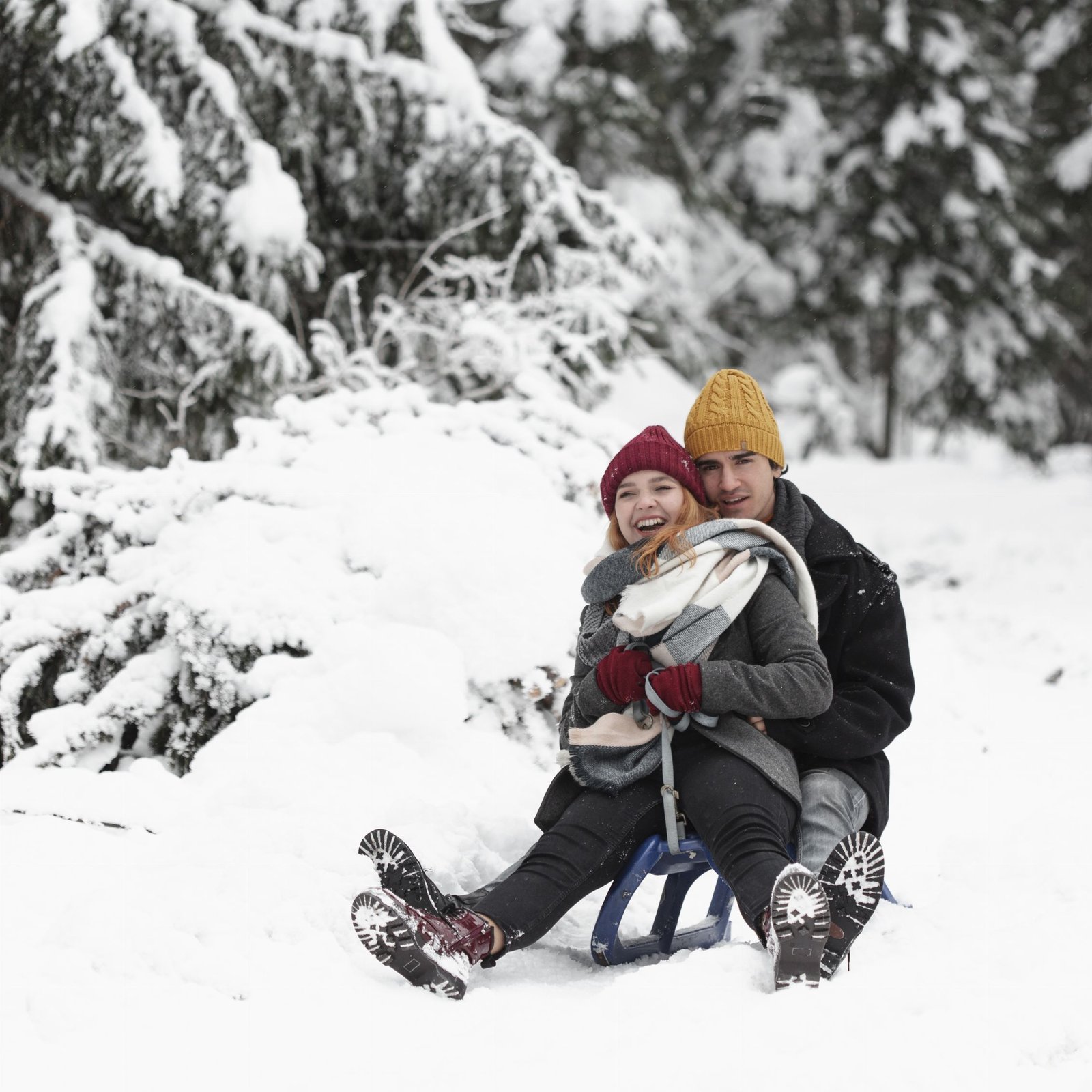 young-beautiful-couple-having-fun-sitting-sleigh